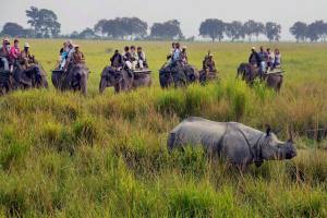 Kaziranga National Park - 
